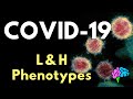 Is COVID-19 ARDS? L & H Phenotypes Explained!