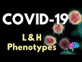 Understanding COVID-19 Phenotypes