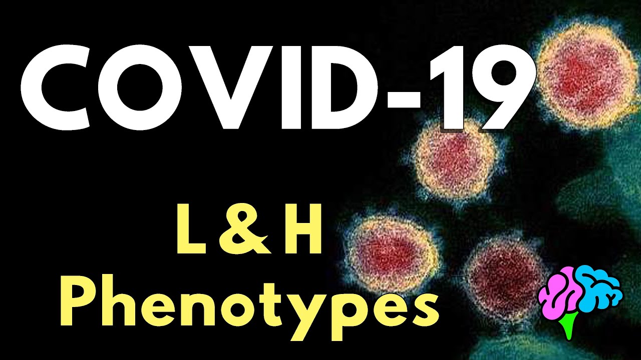 Is COVID-19 ARDS? L & H Phenotypes Explained!