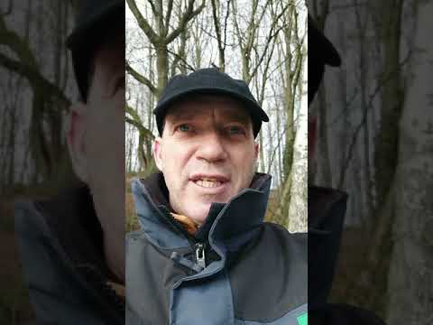 Winterfeeder  29. Dez. 2020