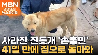 41일 만에 집으로 돌아온 진돗개 '손홍민'- 김명준의 뉴스파이터