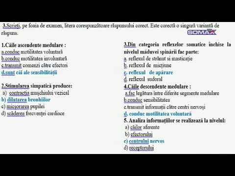 EXAMENE DE NOTA 10 - BACALAUREAT - BIOLOGIE