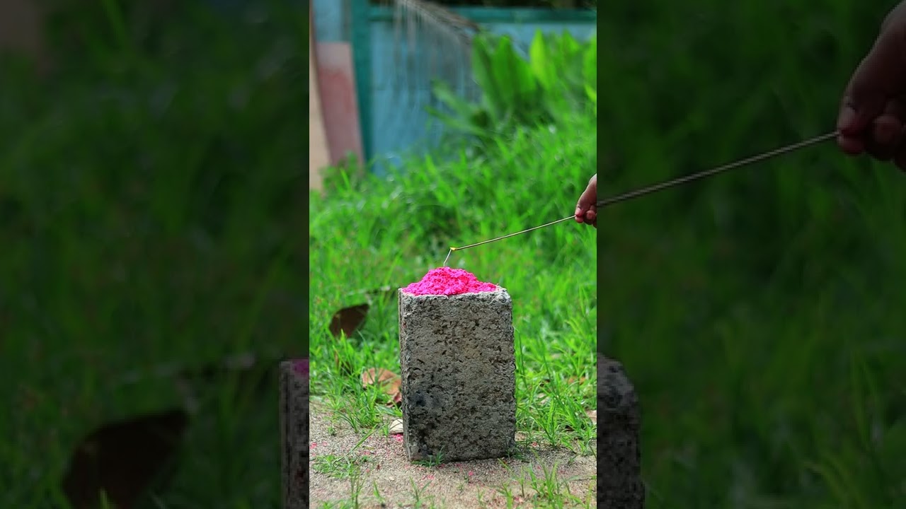 Holipowder Vs Crackers | M4 Tech | 