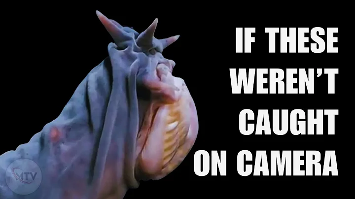 Why Do Animals Do That: (Weird Animal Behavior Explained!) thumbnail