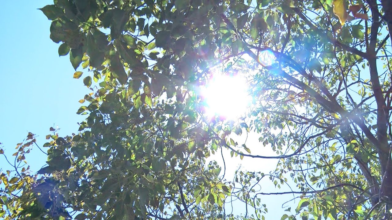 Cal ISO calls for another Flex Alert Friday due to searing weather conditions