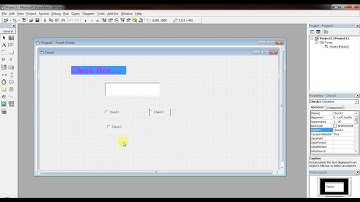 10 Check Box VB 6.0