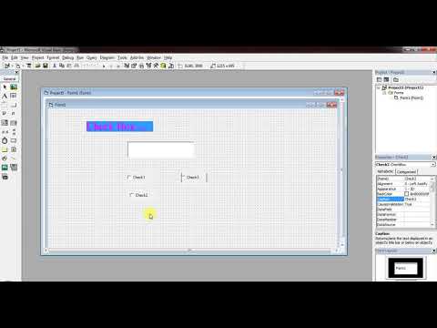 10 Check Box VB 6.0