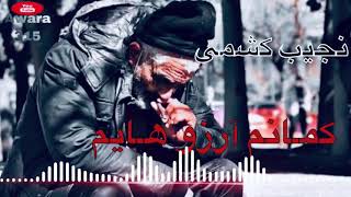 نجیب کشمی_ گمانم آرزو هایم (یارانه) ١۵٩ | Najib keshmi Gormanm Arezohayem