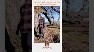 Sadhguru visits the Birthing Tree in McMinnville Tennessee