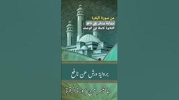 من سورة البقرة | ألا إنهم هم المفسدون ولكن لا يشعرون | تلاوة هادئة 💖 Surah Al-Baqarah 💙 تقبل الله 💐
