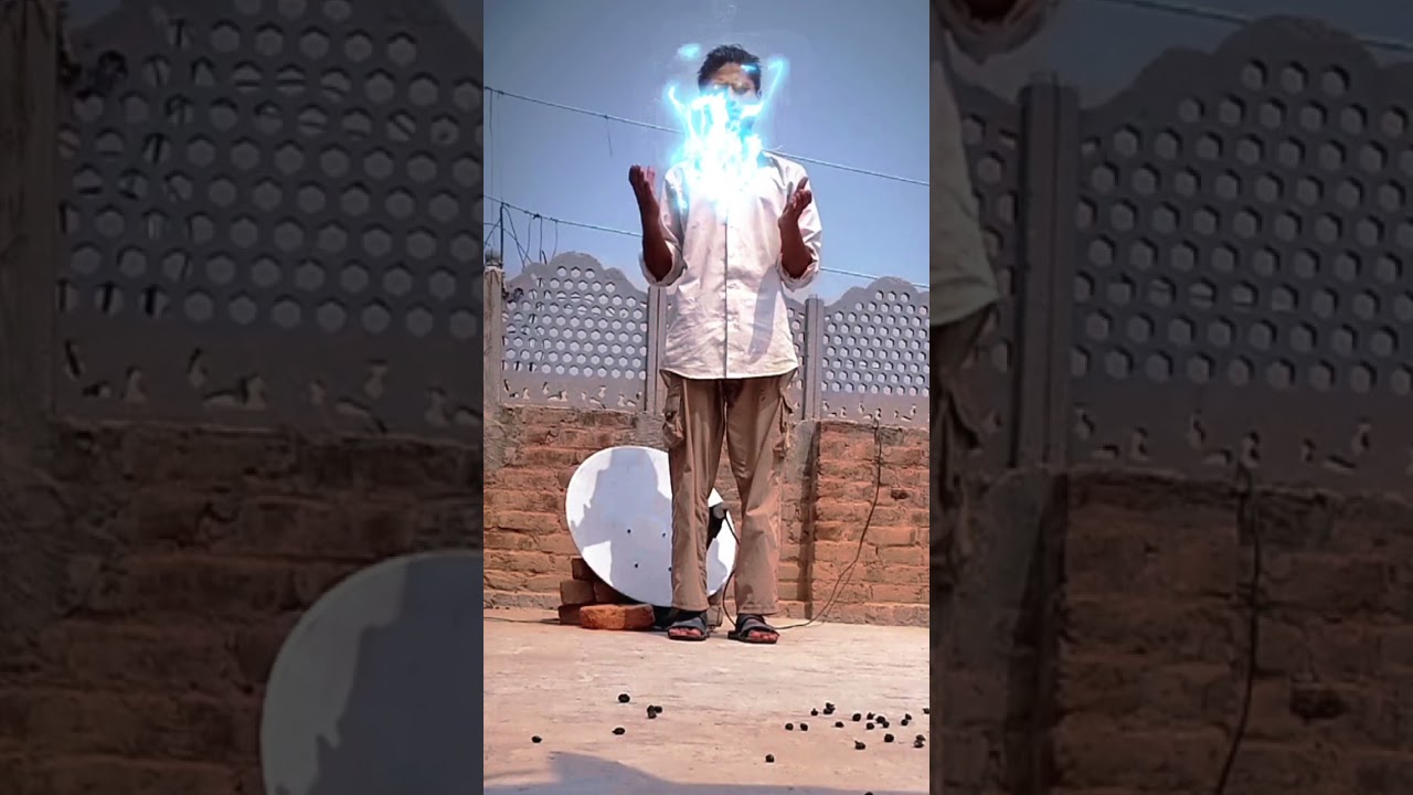 dinosaur fight albaristudio