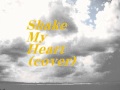 YUI/Shake My Heart (cover)