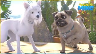 Trojan Racoons | Mighty Mike | 60' Compilation | Cartoon for Kids