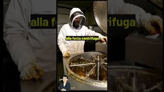 Micheal Squarasau Video Sul Processo Del Miele Scrivete Commenti Quale Volete Vedere Prossim Video