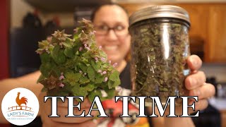 Dead Nettle Tea// How to make dead nettle tea on the Homestead