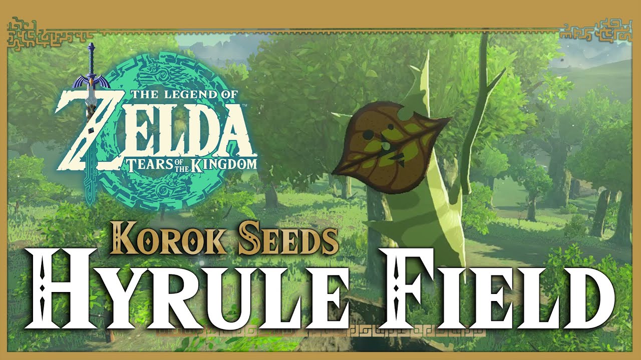 Hyrule Field Korok Seeds • Zelda Tears of the Kingdom TOTK