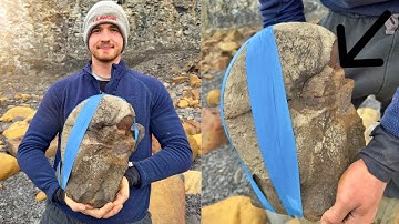 Mega-Sized NAUTILUS Fossil FRESH-OUT! | Fossil Hunter
