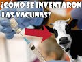 Historia del Orígen de la Vacuna