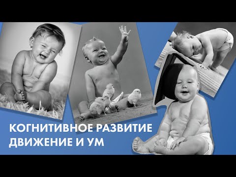 Когнитивное развитие. Движение и ум // Наталья Кучеровская