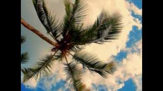 ALBERTO CORTEZ - Las Palmeras