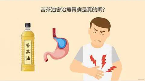 苦茶油可以治胃，是真的吗？｜李宜霖医师 - 天天要闻