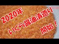2020年北海道白老町の前浜産いくら醤油漬けの製造開始！　虎杖浜 たらこ 明太子 通販【竹丸渋谷水産】