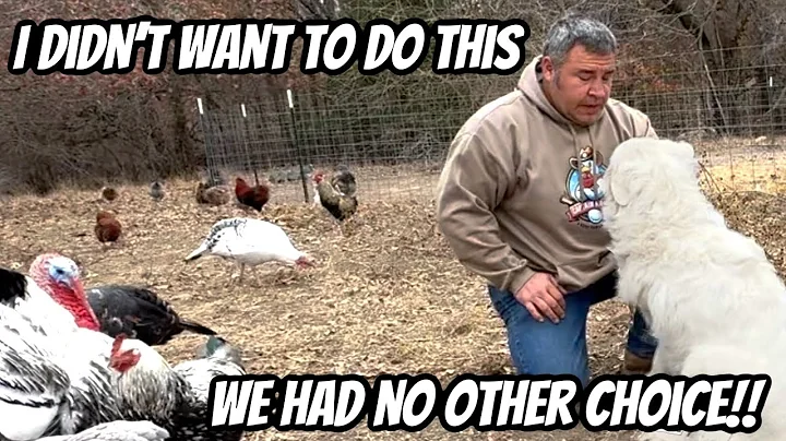 I Caught Her On Camera!! I Think We’re Fighting A Losing Battle!!￼