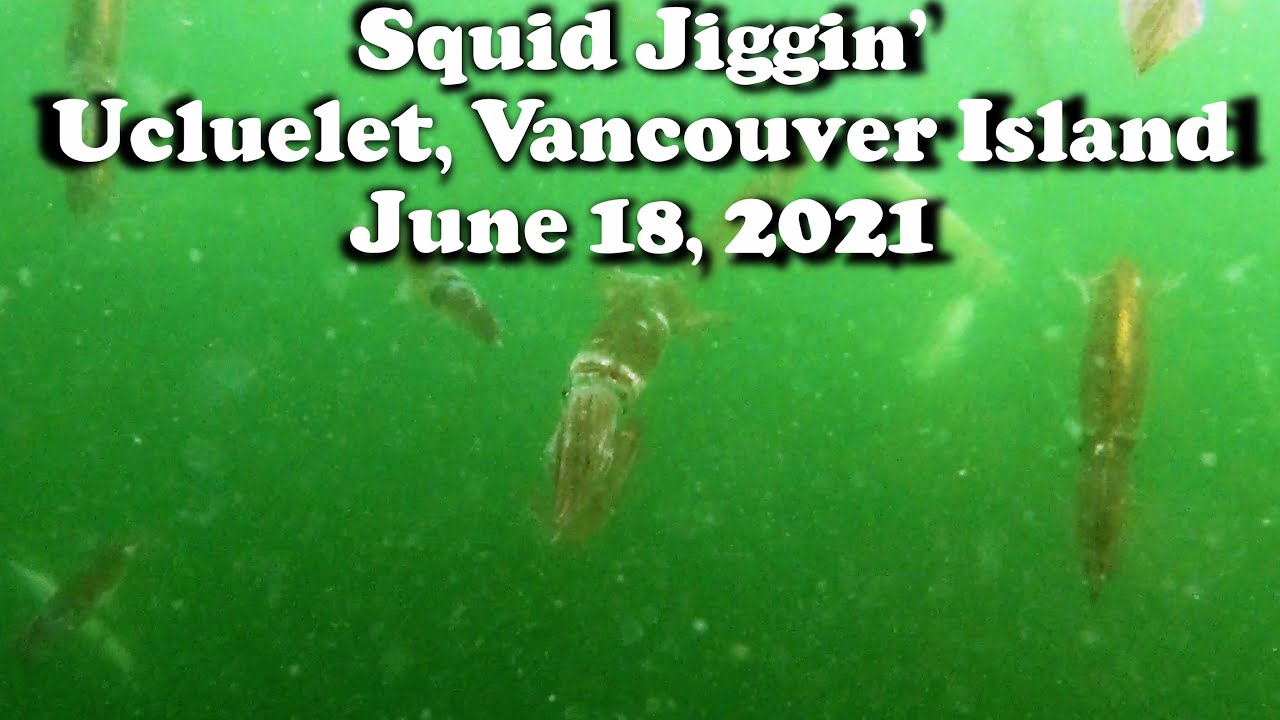 Squid Jiggin' in Ucluelet, near Tofino - Squid, fish, jelly fish and more - 4K UHD - June 18, 2021
