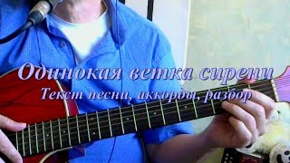 Одинокая ветка сирени. Текст, аккорды, разбор