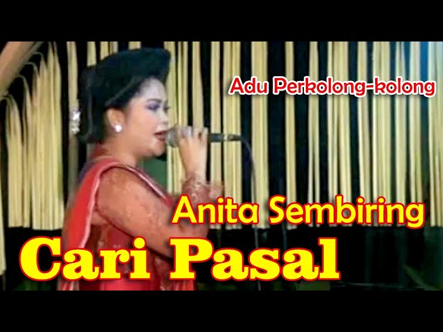 Cari Pasal - Anita Sembiring | Adu Perkolong-kolong  [Official Music Video) class=