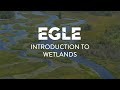 Understanding Michigan's Wetlands