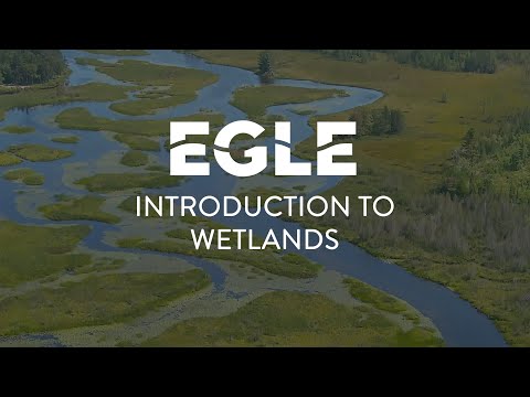 Introduction to Wetlands