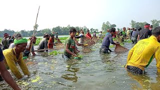 Fishing✅fishing videos ✅টাংগালের সেরা বিলে বছরের ১ম✅মাছের ভিডিও ✅Pakutia fishing bd