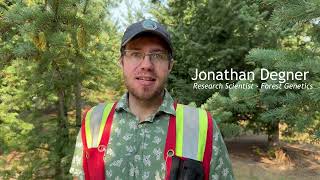 National Forest Week 2023 – Creating Climate-Resilient Forests