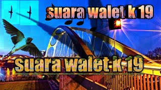 Suara walet respon musim hujan sangat cocok twiter motorola