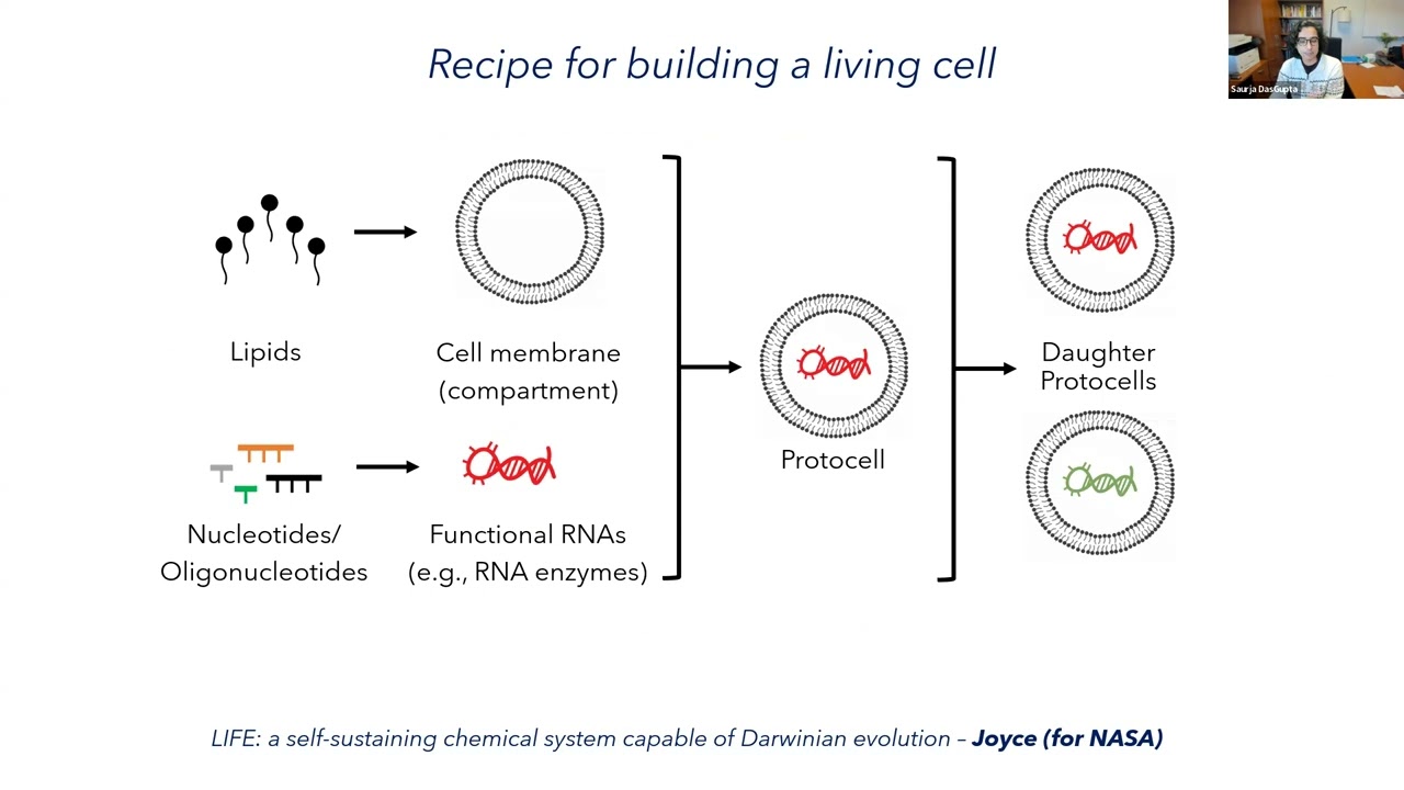 Build-a-Cell seminar Saurja DasGupta: Teaching RNA New Tricks