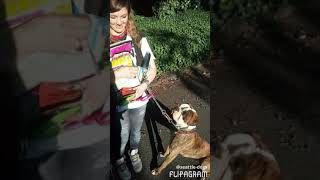 Seattle Dogs Homeless Program