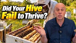 Is Your Hive Alive But NOT Growing? Here's Why