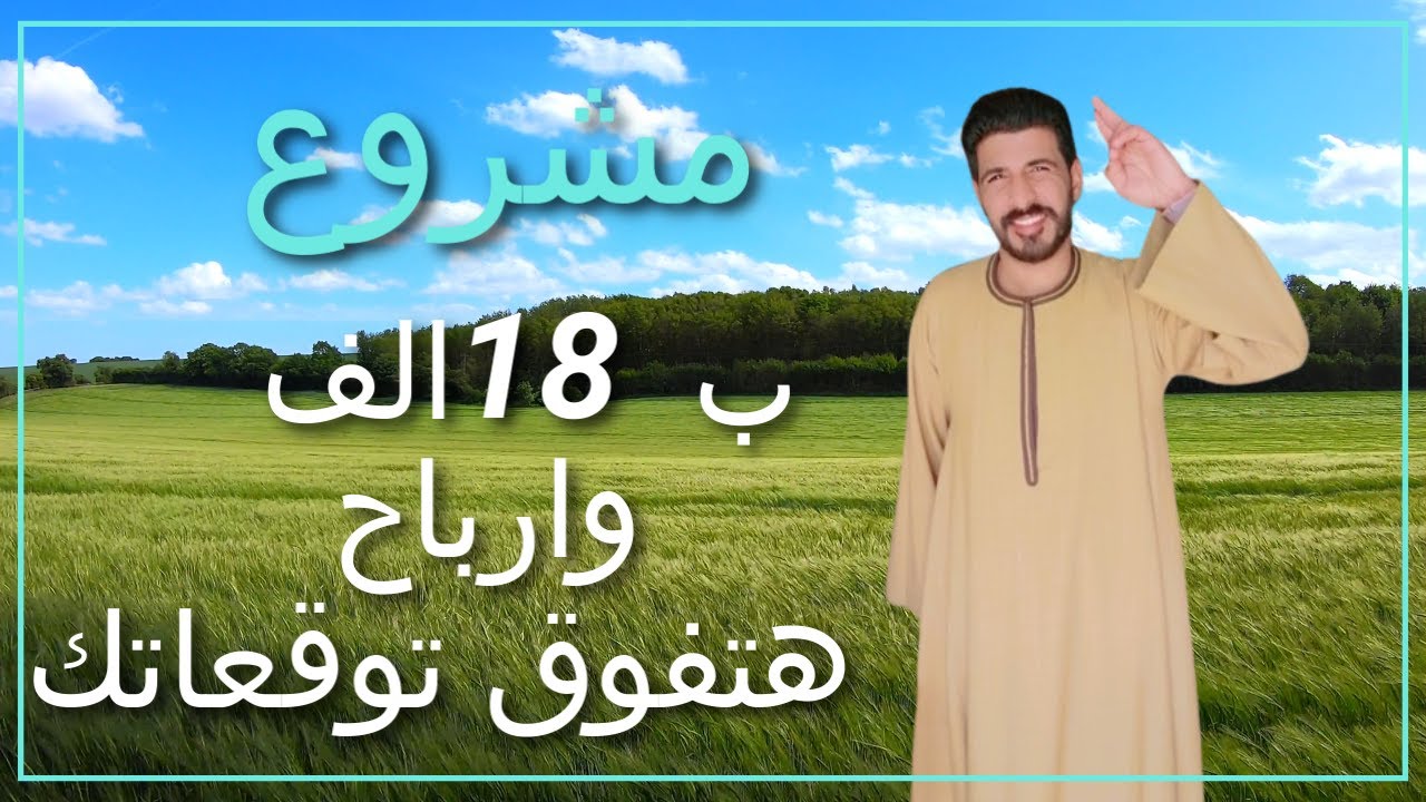 مشروع  الزيتون وارباحه الرهيبة