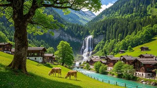 🍃 Peaceful Relaxing Music – Stop Overthinking, Stress Relief, Calm Your Mind, Healing Energy #3