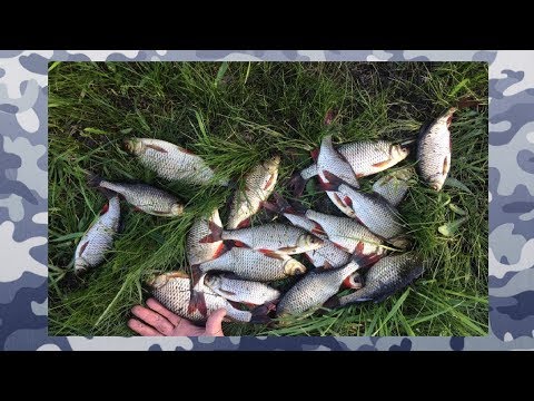 Catching redfish with a popper. A little practice.