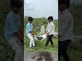 road repairing 🙏🙏 #healing #viralreels #trending #video