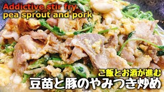 【こっタソ居酒屋】シャキシャキ感がクセになるこうちゃん特製『豆苗と豚のやみつき炒め』【今日の一杯】How to make Addictive stir fry pea sprout and pork