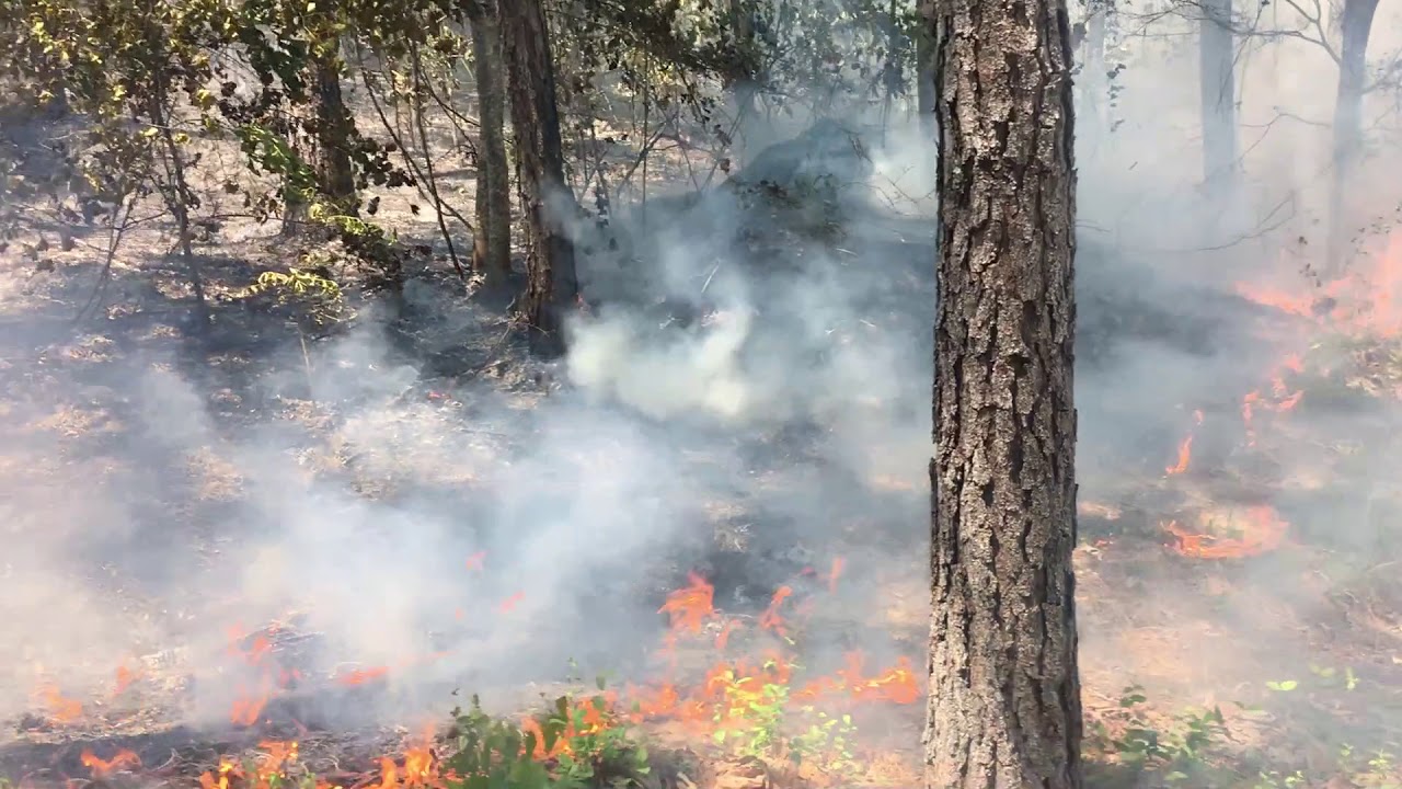 Growing season burn May 2017. Also burning mulch areas YouTube
