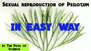 B.Sc botanyA,B.S botany semester I, ADPDEGREE,Sexual reproduction of Psilotum by The Pool of Science