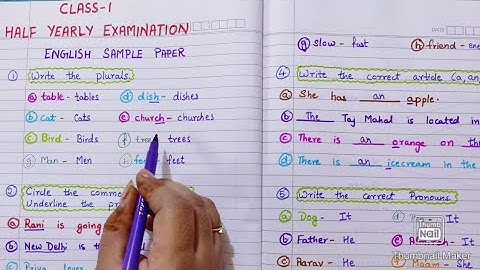 Class 1 Half Yearly Exam English Sample paper|| Class 1 English grammar|| Half Yearly Exam