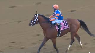 R7  Aqueduct 11 Feb 2026