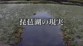 post-title