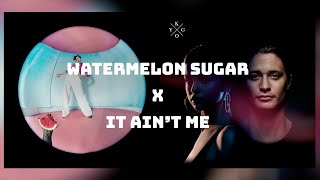 It Ain't Me, Watermelon Sugar - Selena Gomez ft. Kygo x Harry Styles Mashup