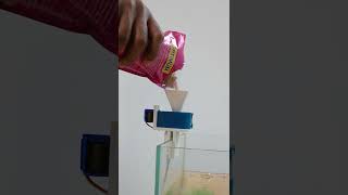 Aquassist | DIY Automatic Fish Feeder with Companion App | Wemos D1 Mini | Arduino IDE | Coders Cafe screenshot 4